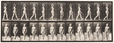 プレート17.ウォーキング、1872〜1885 作： Eadweard Muybridge