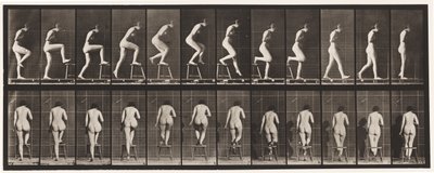プレート180。椅子の上と上を踏む 作： Eadweard Muybridge