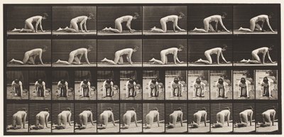 プレート182手と膝を使ったクロール 作： Eadweard Muybridge
