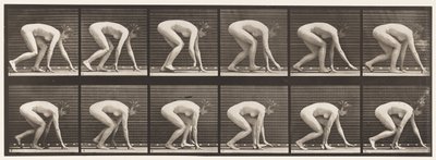 プレート183手と足で歩く 作： Eadweard Muybridge