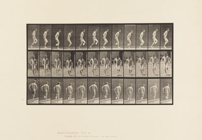 プレート186.右足のホッピング、1885 作： Eadweard Muybridge