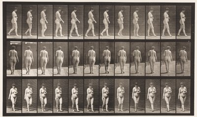 プレート18。ウォーキング、腹部を横切る左手、1872〜1885 作： Eadweard Muybridge