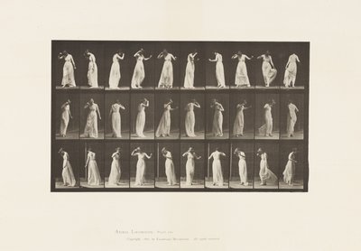 プレート194.Dancing、1885 作： Eadweard Muybridge