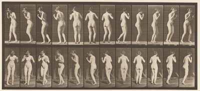 プレートNo.195ダンシングワルツ 作： Eadweard Muybridge
