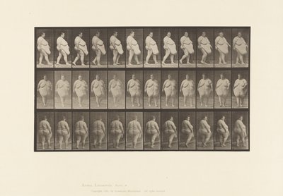 プレート19ウォーキング、振り向き始め 作： Eadweard Muybridge