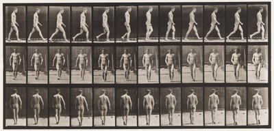プレート1。ウォーキング 作： Eadweard Muybridge