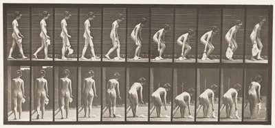 プレート202。ハンカチを落としたり持ち上げたりする 作： Eadweard Muybridge