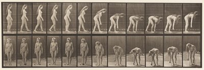 プレート204。ボールを拾うのをやめる 作： Eadweard Muybridge