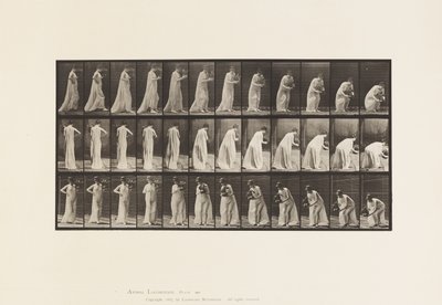 プレート205.花瓶を持ち歩き、かがむ、1885 作： Eadweard Muybridge