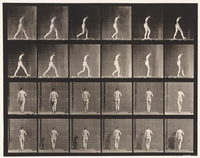 プレート20.ウォーキング、右肘の曲がり 作： Eadweard Muybridge