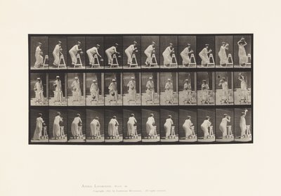 プレート216。腰をかがめて水瓶に水を入れる、水瓶を頭に乗せる 作： Eadweard Muybridge