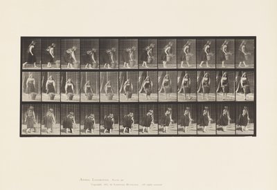 プレート217.30ポンドのバスケットをかがめて持ち上げて運ぶ、1885 作： Eadweard Muybridge