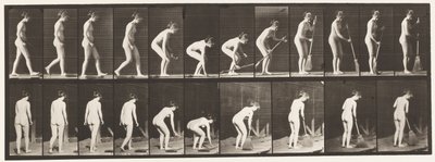 プレート219。ほうきをかがめて持ち上げ、掃除する 作： Eadweard Muybridge