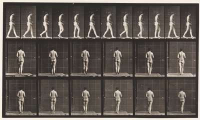 プレート21両肘を曲げて歩く 作： Eadweard Muybridge