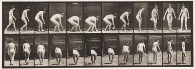 プレート220。ハンカチをかがめて持ち上げ、回転させる 作： Eadweard Muybridge