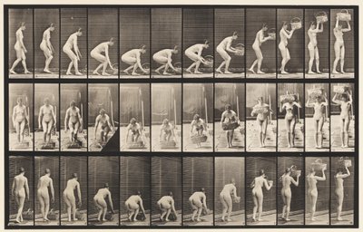 プレート221。12ポンドのバスケットを頭にかがめて持ち上げる 作： Eadweard Muybridge