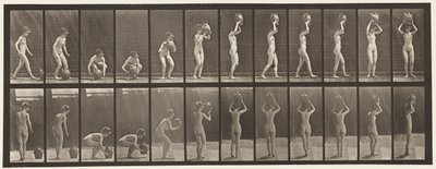 プレート222。水筒を頭にかがめて持ち上げ、回転させる 作： Eadweard Muybridge