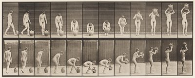 プレート224。水筒を頭にかがめて持ち上げる 作： Eadweard Muybridge