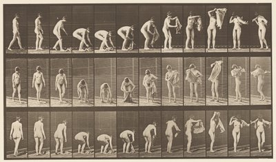 プレート227。地面から布を持ち上げる、1872〜1885 作： Eadweard Muybridge