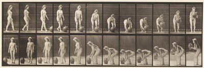 プレート228。水筒を地面から回して持ち上げる 作： Eadweard Muybridge