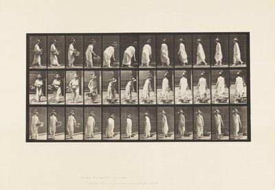 プレート229。バスケットを地面に置いて回す 作： Eadweard Muybridge