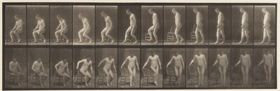 プレート236.Diairの配置とSitting Down、1885 作： Eadweard Muybridge