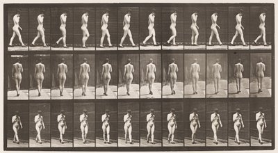 プレート23.歩く、あごに右手、かかとの高い靴を履く 作： Eadweard Muybridge