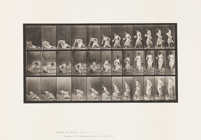 プレート248地面に座る 作： Eadweard Muybridge