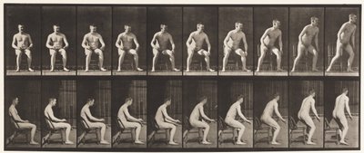 プレート249。椅子から立ち上がる 作： Eadweard Muybridge