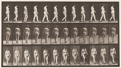 プレート24ハイヒールを履いて歩く 作： Eadweard Muybridge