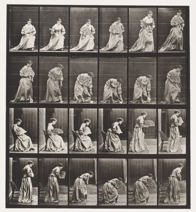 プレート250椅子から立ち上がり、腰を落としてハンカチを持ち上げる 作： Eadweard Muybridge