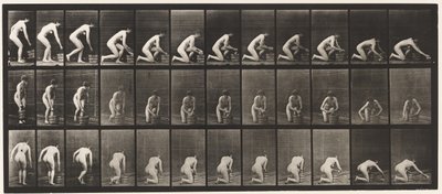 プレート252。右膝にひざまずいて床をこする、1872-1885 作： Eadweard Muybridge