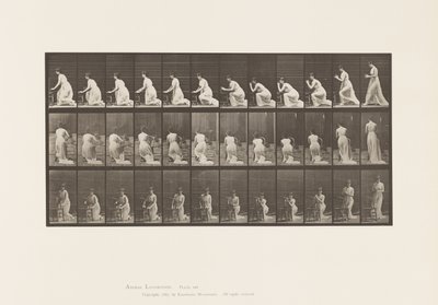 プレート253.ひざまずく肘の椅子、手握り、1885 作： Eadweard Muybridge