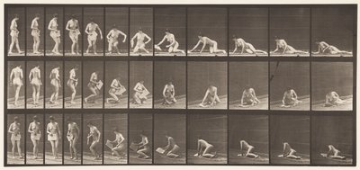 プレート256。地面に横たわって読書、1872〜1885 作： Eadweard Muybridge