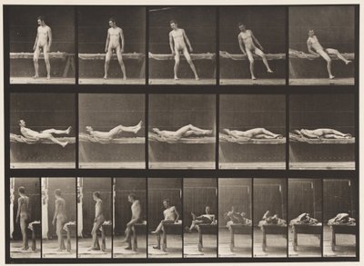 プレート259.カウチに横になり、横を向く、1885 作： Eadweard Muybridge