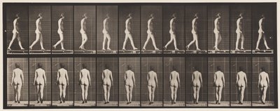 プレート25.かかとの高い靴を履いて歩く 作： Eadweard Muybridge