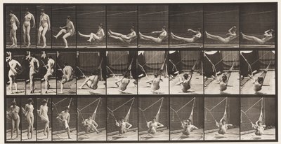 プレート261。Gettinginto Hammock、1872-1885 作： Eadweard Muybridge