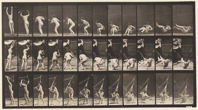 プレート262ハンモックからの脱出 作： Eadweard Muybridge