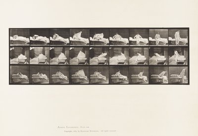 プレート265ベッドから出て膝をつく準備をする 作： Eadweard Muybridge