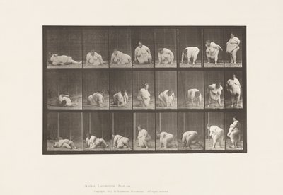 プレート268地上からの復興、1885 作： Eadweard Muybridge