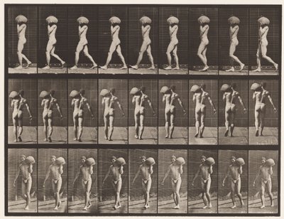 プレート26.歩く、左肩に75ポンドの石を運ぶ 作： Eadweard Muybridge