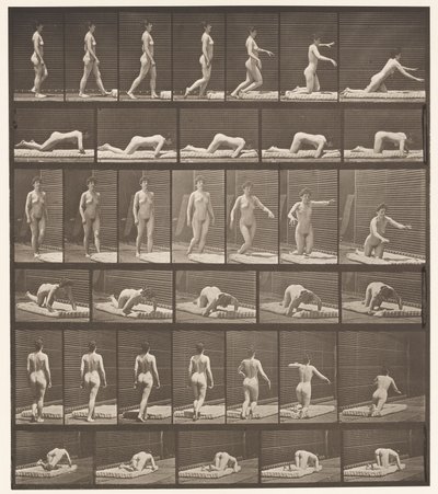 プレート272。つまずきと地面に落ちる。 作： Eadweard Muybridge