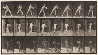 プレート277。野球;バッティング 作： Eadweard Muybridge