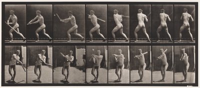 プレート278。野球;バッティング 作： Eadweard Muybridge