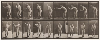 プレート281。野球;キャッチとスロー 作： Eadweard Muybridge