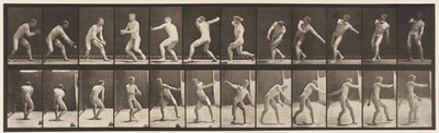 プレート284.Base-ball;捕まえて投げる、1885 作： Eadweard Muybridge