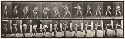 プレート285。野球。キャッチとスロー 作： Eadweard Muybridge