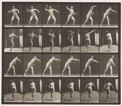プレート286。野球;投げ 作： Eadweard Muybridge