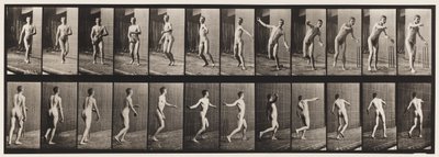 プレート289.クリケット;ラウンドアームボウリング、1885 作： Eadweard Muybridge