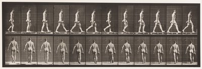 プレート28.ウォーキング、50ポンドのダンベルを右手で運ぶ、1872〜1885 作： Eadweard Muybridge